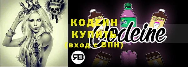 дживик Краснослободск