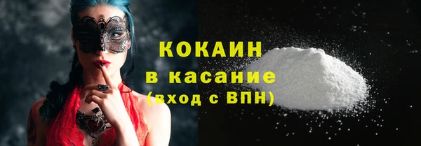 мдпв Ладушкин