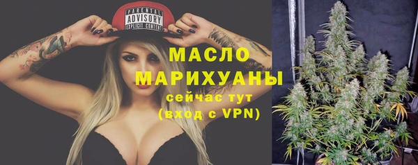 мдпв Ладушкин